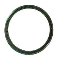 Кільце ABS задньої маточини Iveco, Hongyan OEM: 5802038568